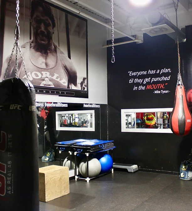 Boxing bags and plyo boxes at the NE gym